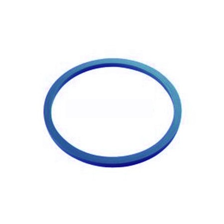 Gasket for deneb and altair autoclaves