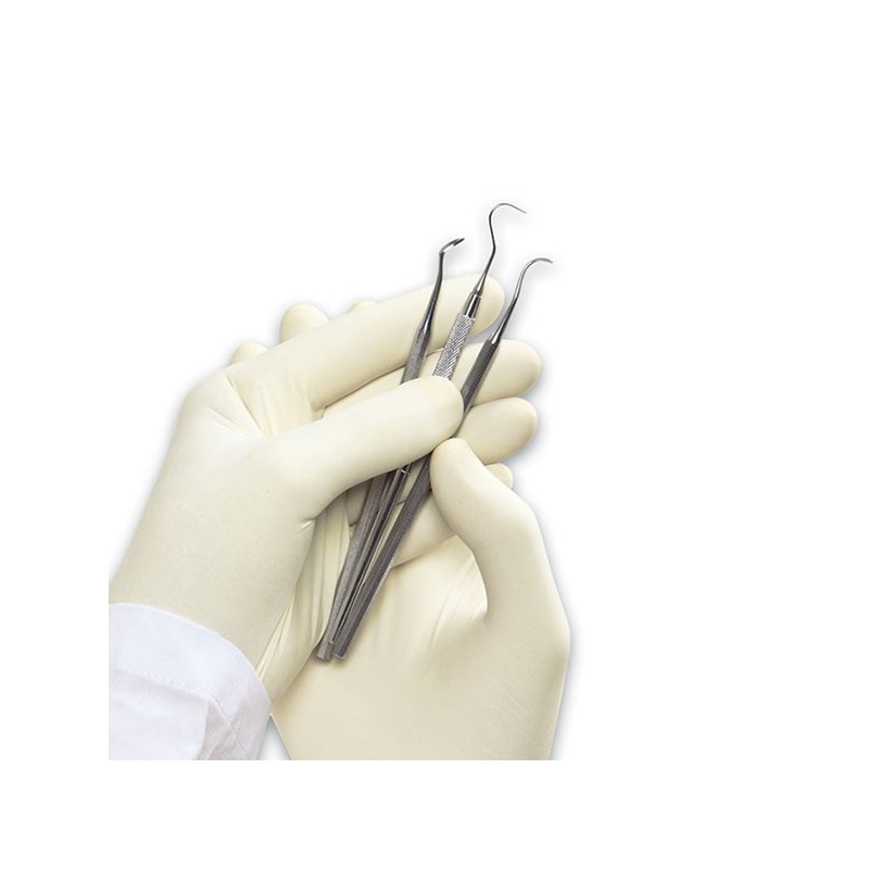 Palmpro expert essp powder-free latex disposable gloves - 100 pcs.