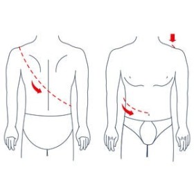 New edge 576 vállkiegyenesítő merevítő