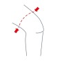 Ginocchiera elastica regolabile Contenimento Rotuleo New Edge 020