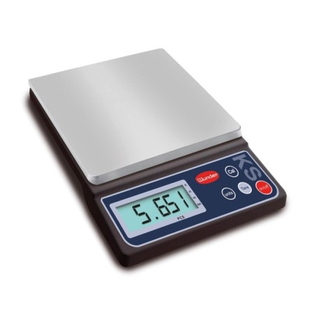 Compact scale with abs construction