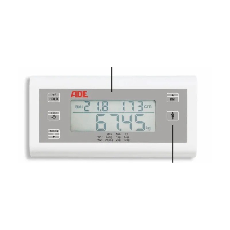 Professional digital short column personal scale with bmi class iii function