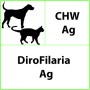 Test rapido veterinario CHW Ag Dirofilaria - 10 test