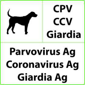 CPV+CCV+Giardia Veterinär-Schnelltest für Parvovirose, Coronavirus, Giardia - 10 Tests