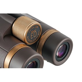 Jumelles levenhuk vegas ed 10x42