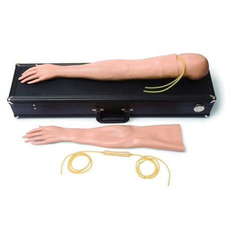 Female multi-venous iv training arm kit