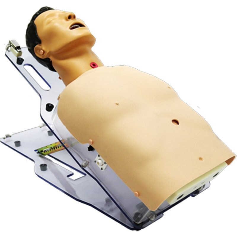 Medische simulator voor geassisteerd voedingsbeheer, peg, neussonde en tracheostomie