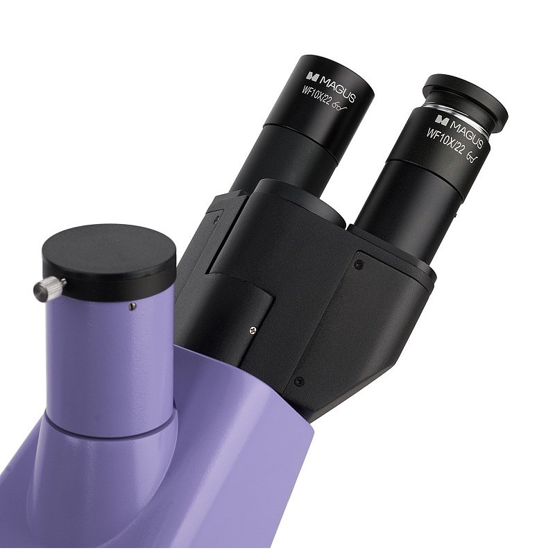 Mikroskop biologiczny odwrócony magus bio v300