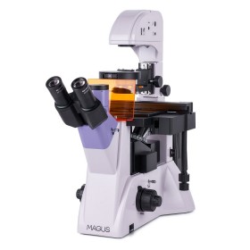 Magus lum v500 inverted fluorescence microscope