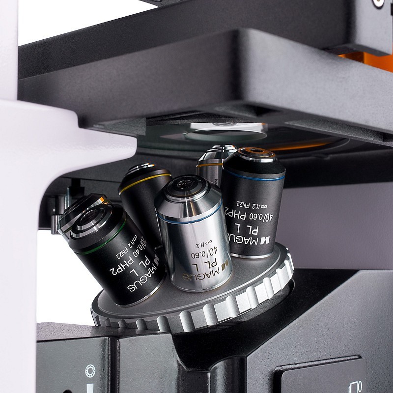 Microscope à fluorescence inversée magus lum v500