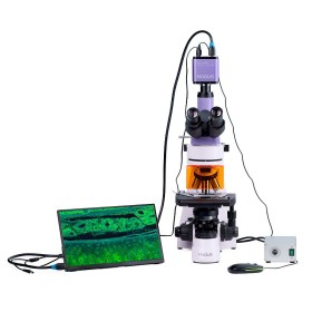 Magus lum d400l microscope à fluorescence numérique lcd