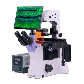 Microscopio a fluorescenza invertito digitale magus lum vd500 lcd