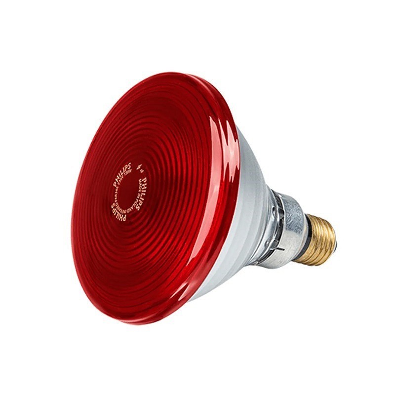 Żarówka zamienna philips 150w do kodu 28646