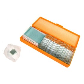 Juego de diapositivas preparadas levenhuk n38 ng