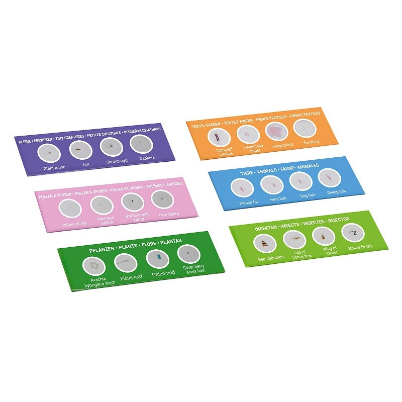 Bresser junior experiment kit avec 24 préparations de microscope permanent pour les débutants