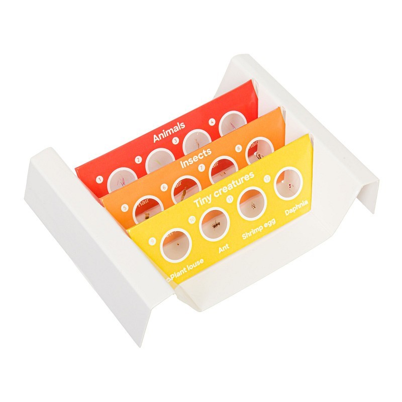 Levenhuk discovery fauna set mit 12 präparierten objektträgern