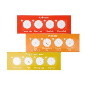 Levenhuk discovery fauna set avec 12 diapositives préparées