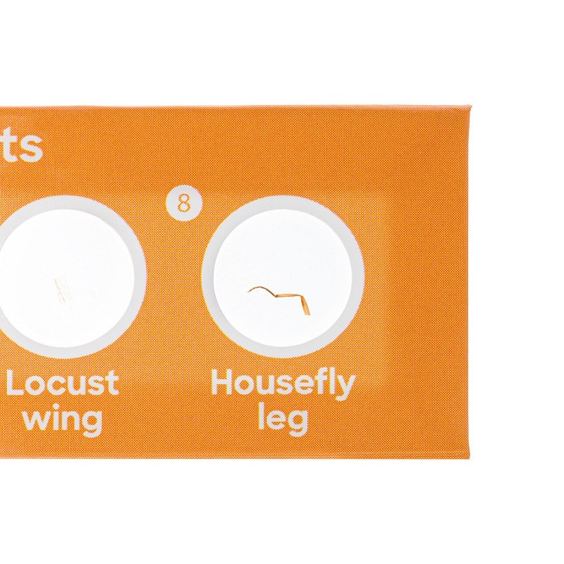 Levenhuk discovery fauna készlet 12 előkészített diával