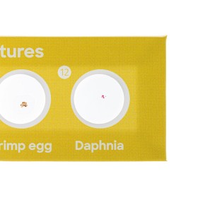 Levenhuk discovery fauna set con 12 vetrini preparati