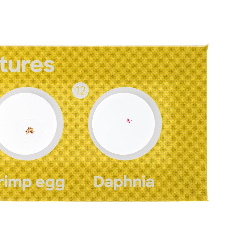 Levenhuk discovery fauna set avec 12 diapositives préparées