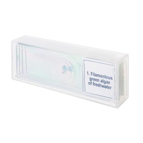 Zestaw mikropreparatów levenhuk discovery prof dps 5. "biologia"