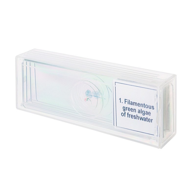 Set di micropreparati levenhuk discovery prof dps 5. “biologia”