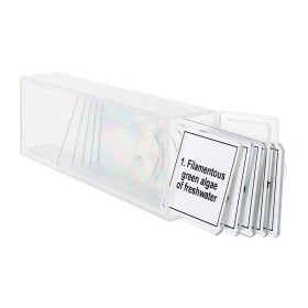 Set di micropreparati levenhuk discovery prof dps 5. “biologia”