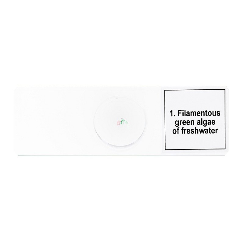 Mikropreparátumok készlete levenhuk discovery prof dps 5. "biológia"