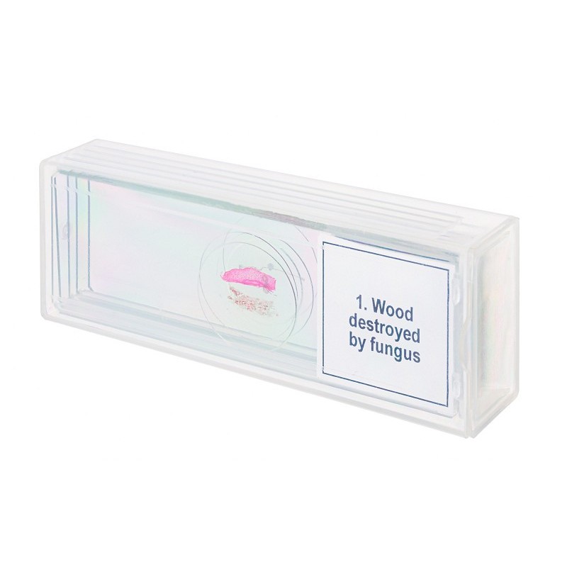 Conjunto de micromuestras levenhuk discovery prof dps 5 “mutaciones”.