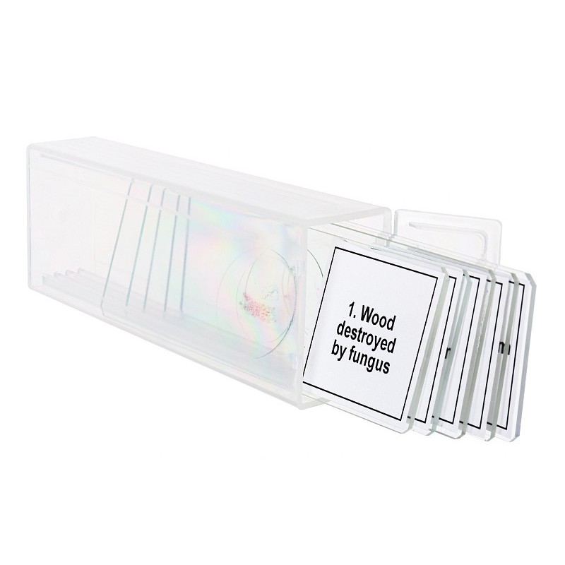 Set von mikropräparaten levenhuk discovery prof dps 5. "mutationen"