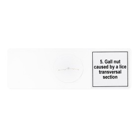 Conjunto de micromuestras levenhuk discovery prof dps 5 “mutaciones”.