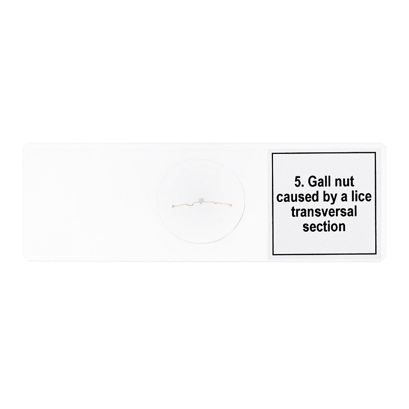 Levenhuk discovery prof dps 5 microspecimenset “mutaties”.