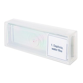 Juego de micromuestras levenhuk discovery prof dps 5 “la vida en una gota de agua”.