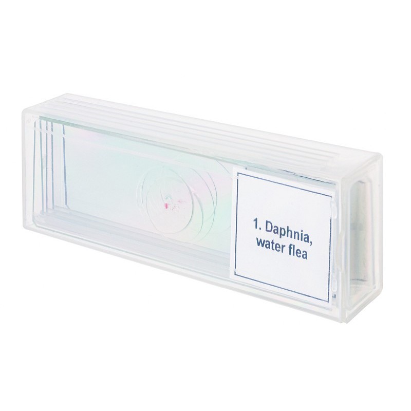 Set di micropreparati levenhuk discovery prof dps 5. “la vita in una goccia d’acqua”