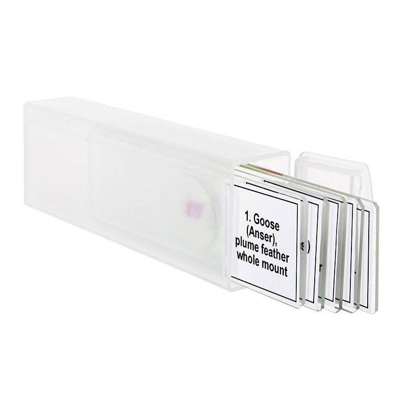 Juego de micromuestras levenhuk discovery prof dps 5 “birds”.