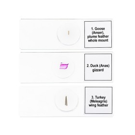 Set von mikropräparaten levenhuk discovery prof dps 5. "vögel"