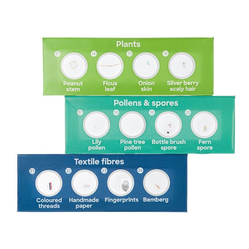 Levenhuk discovery flora zestaw z 12 przygotowanymi szkiełkami