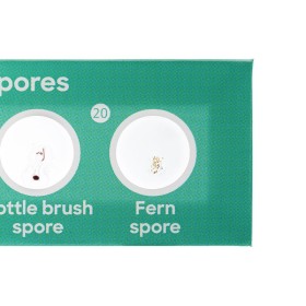 Levenhuk discovery flora zestaw z 12 przygotowanymi szkiełkami