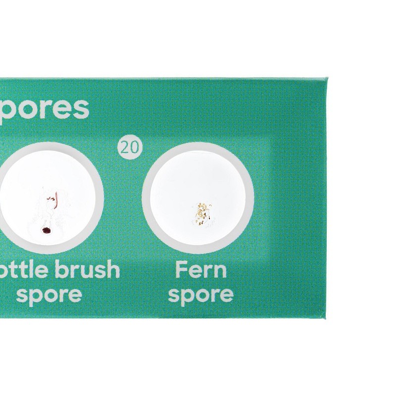 Levenhuk discovery flora zestaw z 12 przygotowanymi szkiełkami