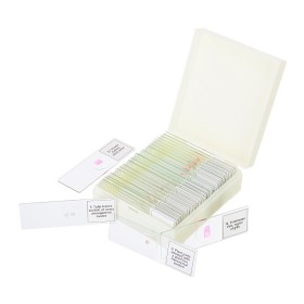 Set di micropreparati levenhuk discovery prof dps 25. “biologia, uccelli, ecc.”