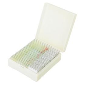 Juego de micromuestras levenhuk discovery prof dps 25 “biología, aves, etc.”