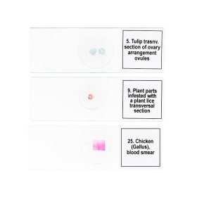 Sada mikrovzorků levenhuk discovery prof dps 25 „biologie, ptáci atd.