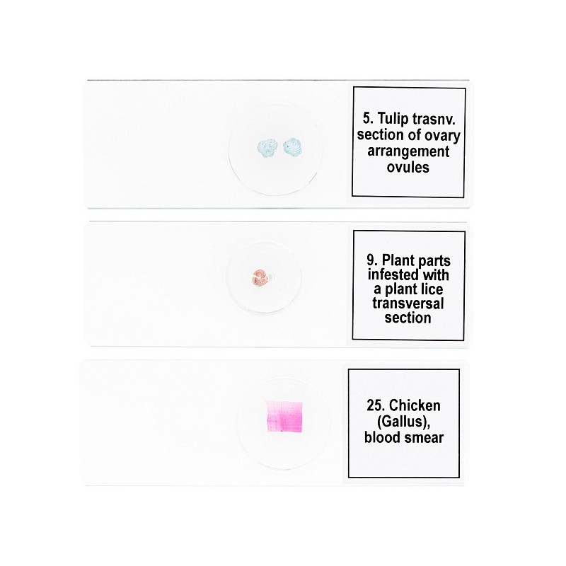 Sada mikrovzorků levenhuk discovery prof dps 25 „biologie, ptáci atd.