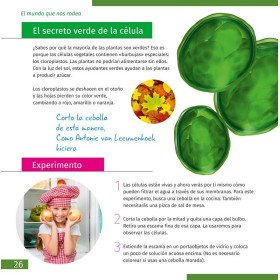 Microscopio levenhuk discovery micro con libro