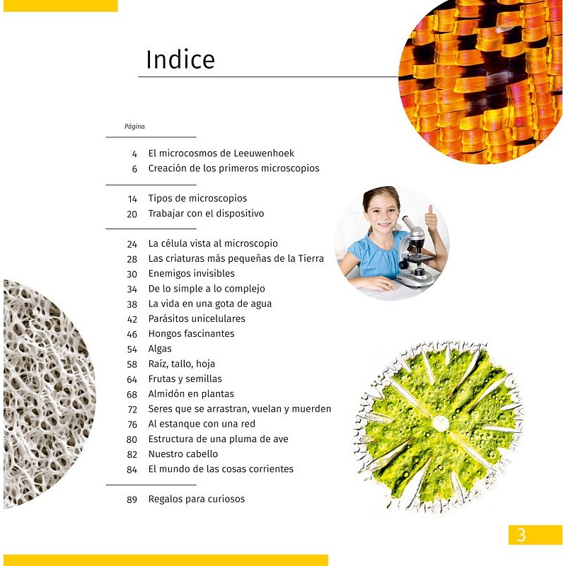 Microscope levenhuk discovery avec livre