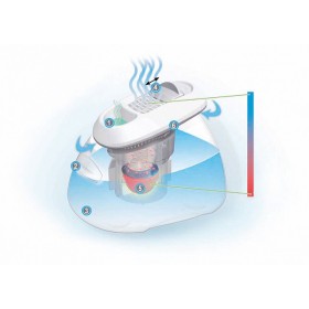 Umidificatore a vapore caldo Olly Vaporizer