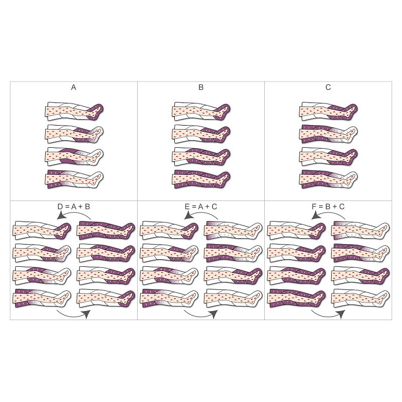 Pressoterapia pressomedical 6.0 pro con 2 gambali + kit slim body + 1 bracciale