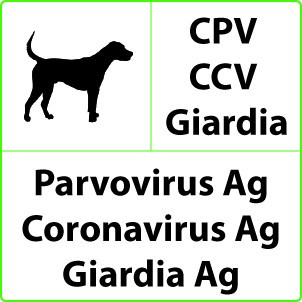 Veterinária